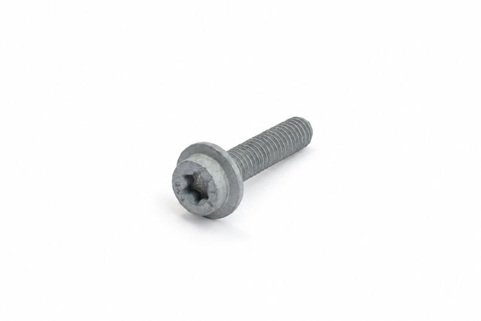 Originele inbusbout met platte kop (M6X25)