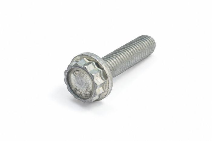 Originele 12-kantkraagbout (M10X40)