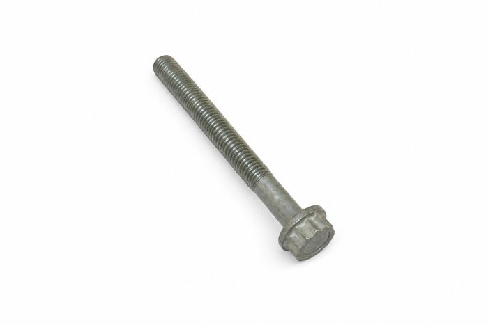 Originele twaalfkantbout (M12X120)