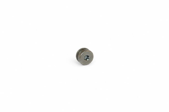 Originele sluitschroef (M10X1X8)