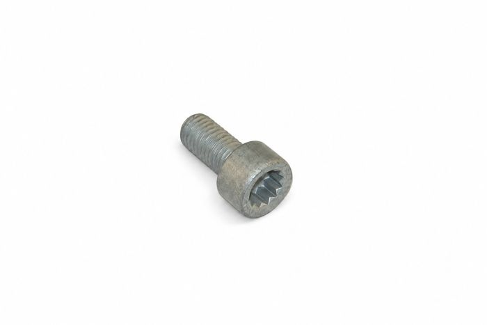 Originele inbus- bout (M12X25)