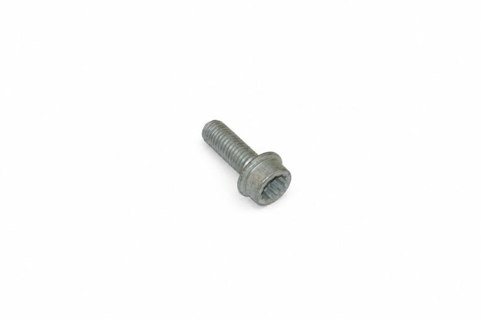 Originele inbus- bout (M8X25)