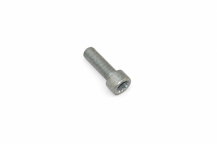 Originele inbusbout met poly-inbuskop (M10X1X32)