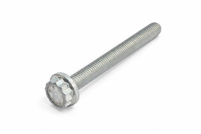 Originele twaalfkantflensbout (M10X95)