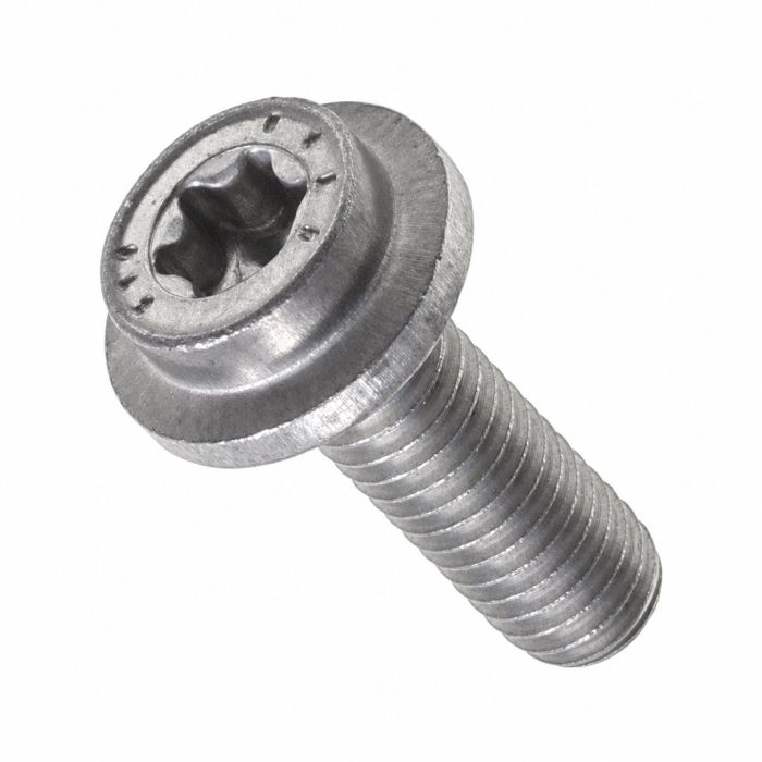 Originele flensbout met inwendige torx (M6X18)