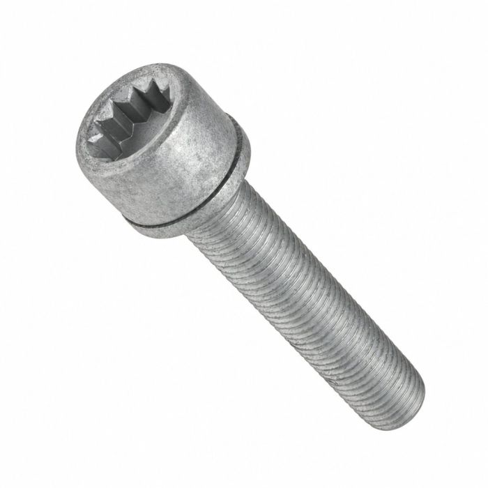 Originele inbusbout met poly- inbuskop (combi) (M12X1,5X65)