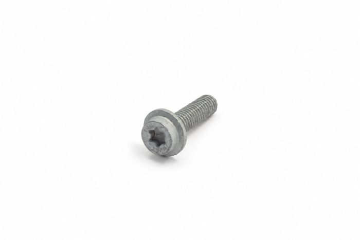 Originele flensbout met inwendige torx (M6X22)
