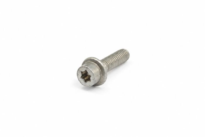 Originele flensbout met inwendige torx (M6X22)