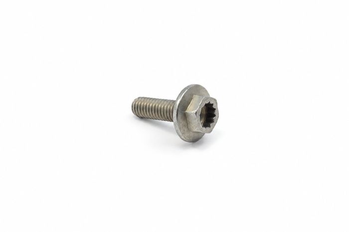 Originele zeskantbout (M8X25)