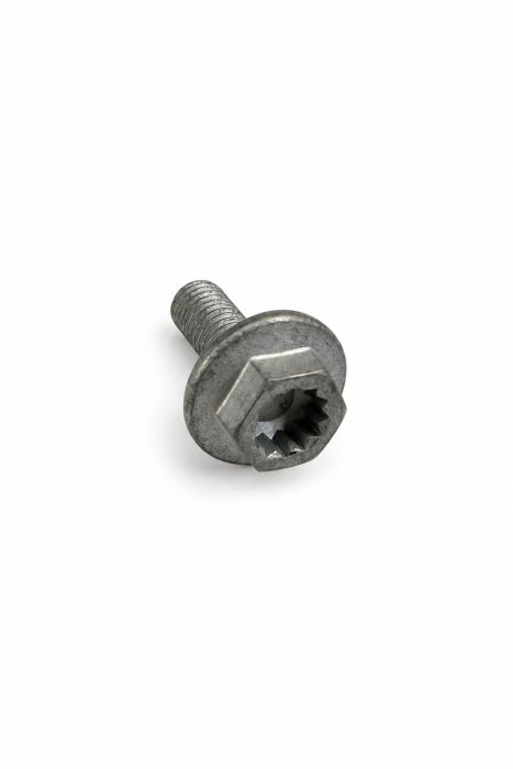 Originele zeskantbout (M8X25)