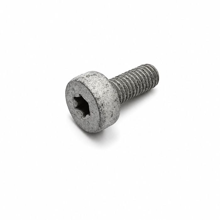 Originele inbus- bout (M6X16)