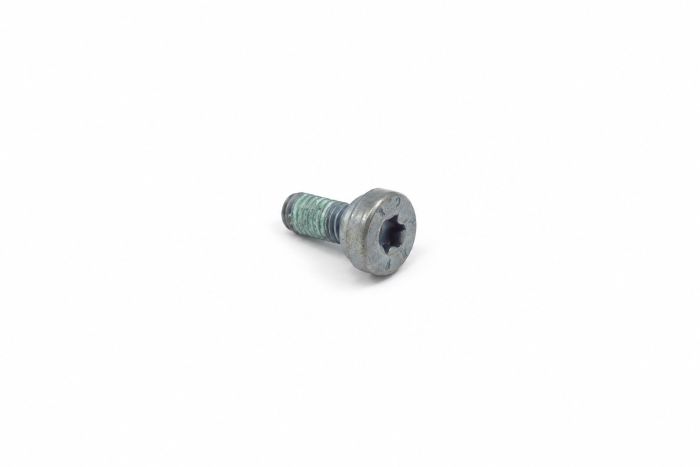 Originele inbusbout (M5X12)