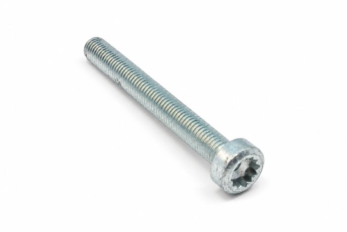 Originele inbusbout met platte kop (M12X105)