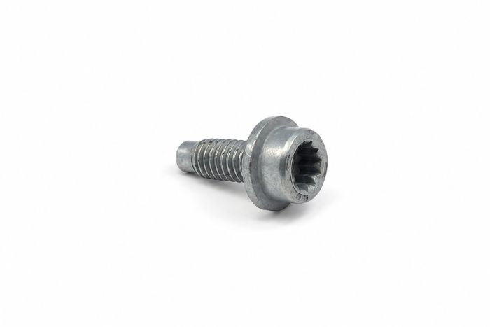 Originele platkopschroef met poly-inbus