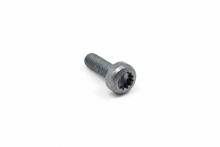 Originele platkopschroef met poly-inbus (M8X25)