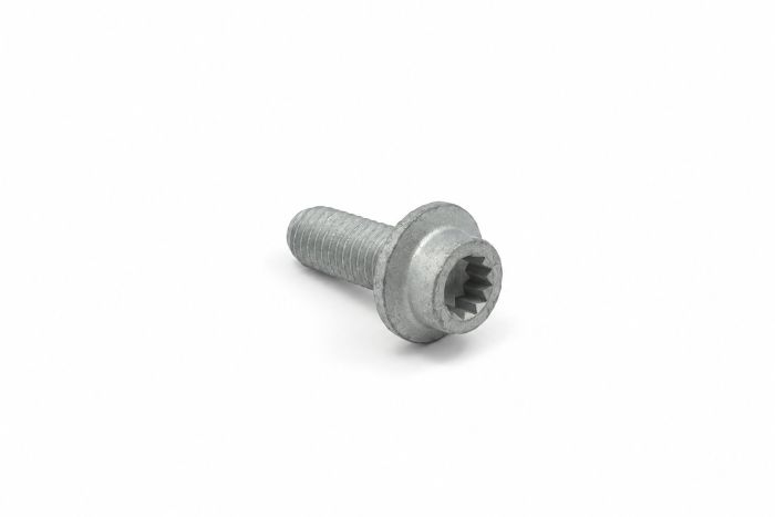 Originele inbusbout met poly-inbuskop (M10X25)