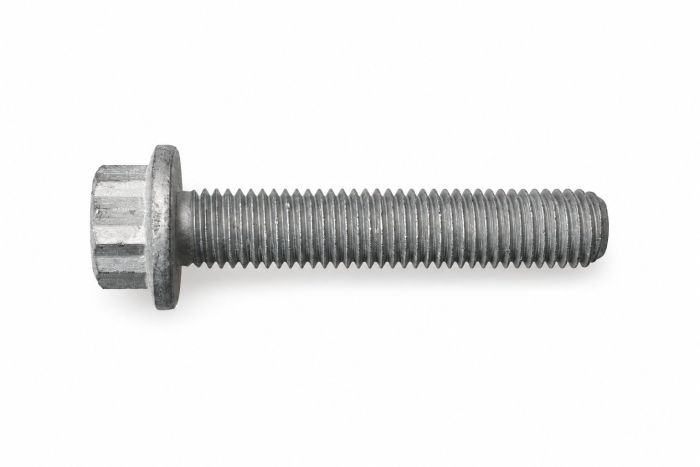 Originele 12-kantkraagbout (M12X60)