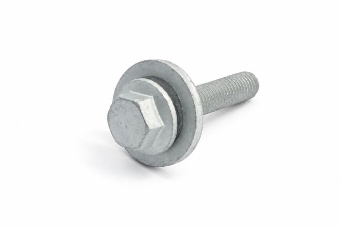 Originele zeskantbout met ring (M10X55)