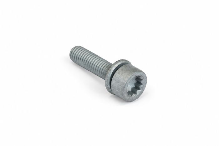 Originele poly-inbusflensbout (combi) (M10X40)