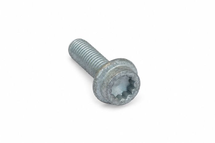 Originele poly-inbusflensbout (M10X32)