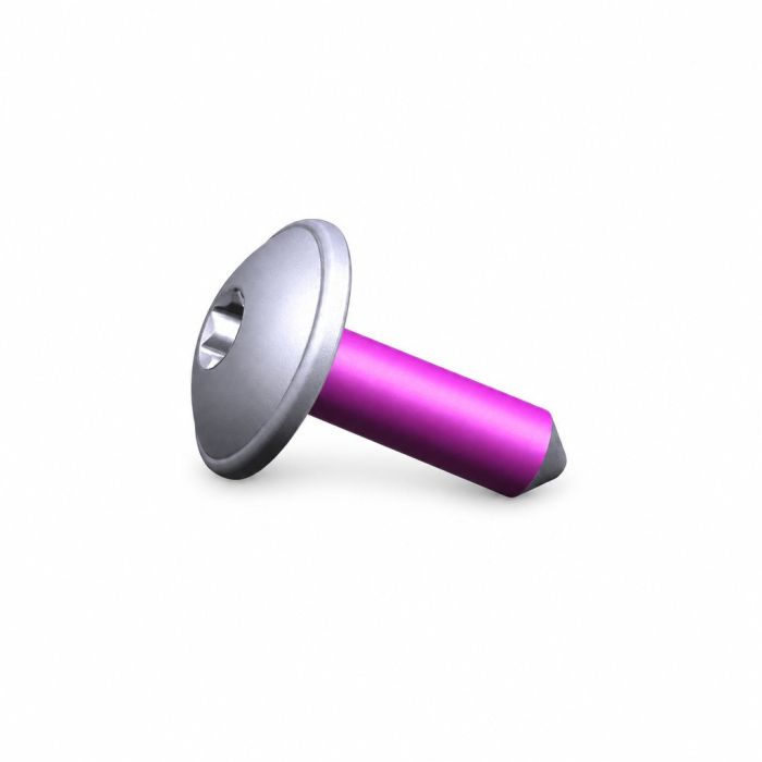 Originele flensbout met inwendige torx (M6X20)