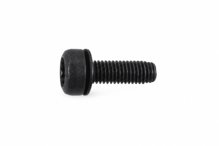 Originele poly-inbusbout (combi) (M8X25)