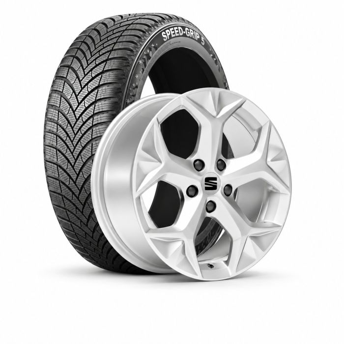 Originele winterset - zilver