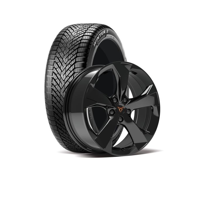 CUPRA Leon (KL) winterset - black