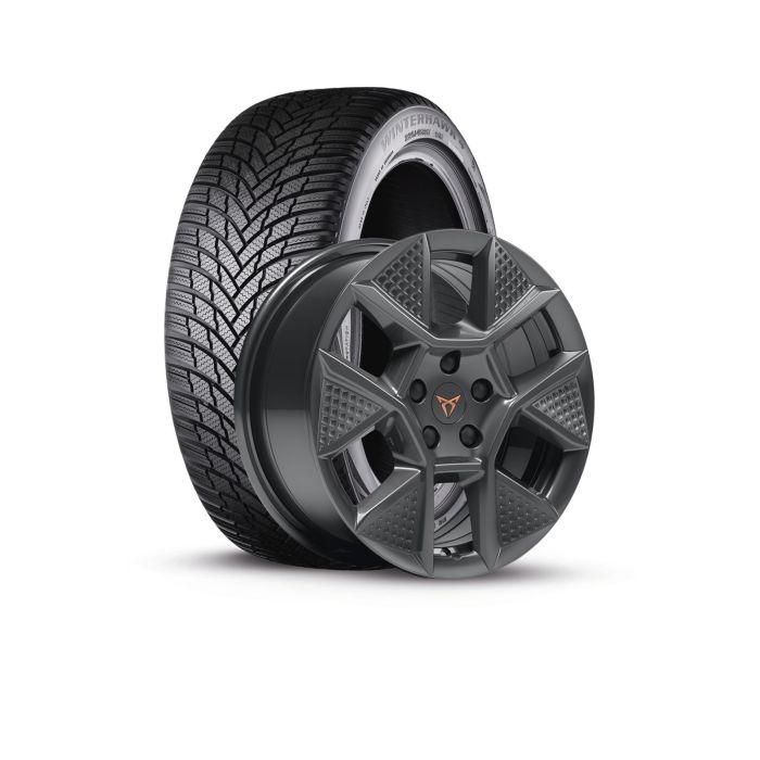 CUPRA Raval (6FA) winterset - dark shadow