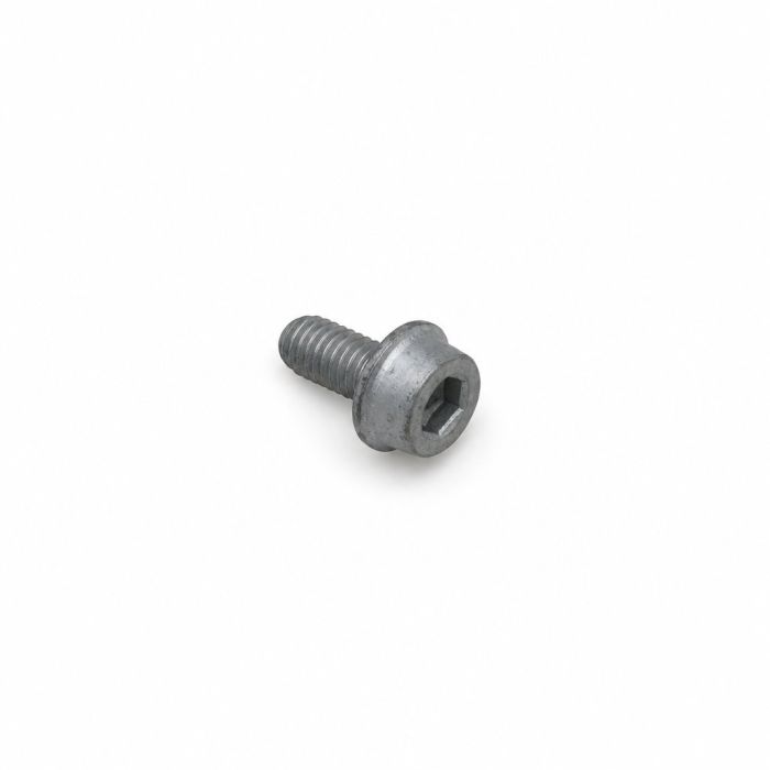 Originele inbusbout (M6X12)