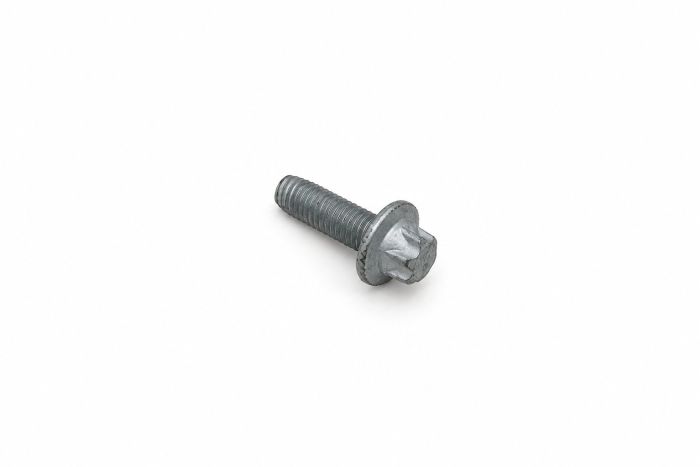 Originele zeskantbout (M8X25)