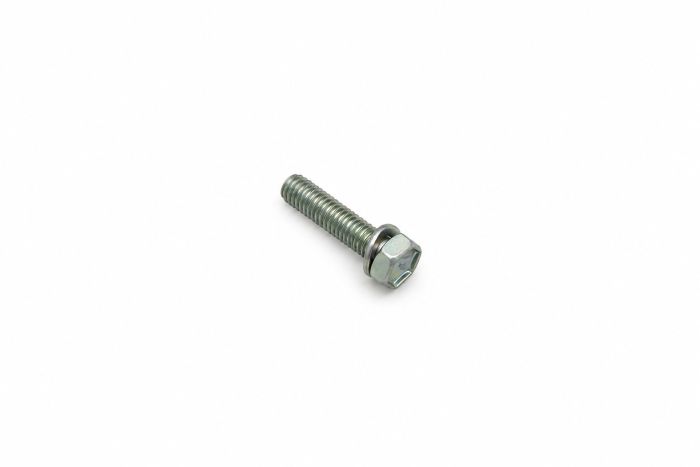 Originele zeskantbout (combi) (M6X25)