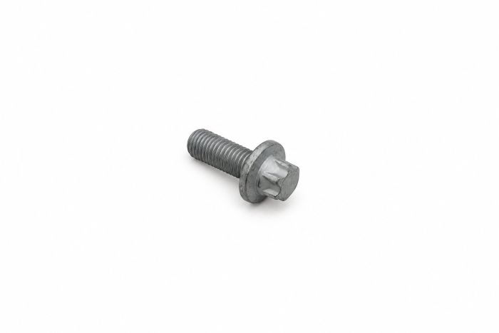 Originele zeskantbout (M12X1,5X30)