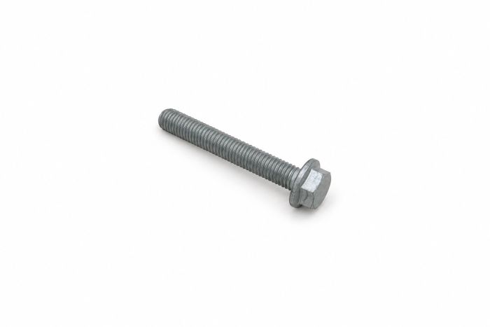 Originele zeskantbout met kraag (12X80)