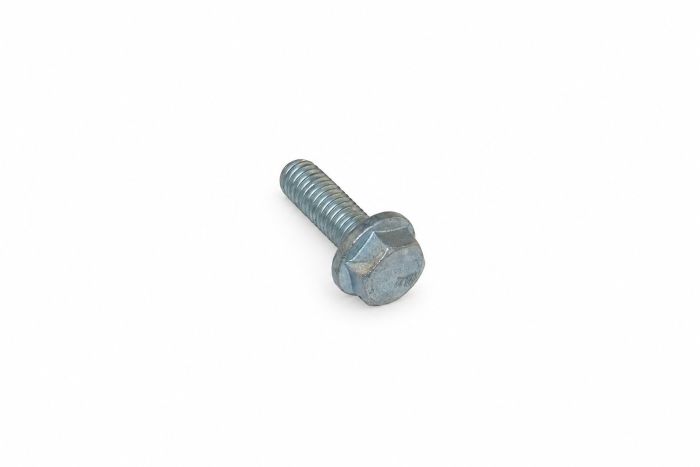 Originele zeskantbout (M8X25)