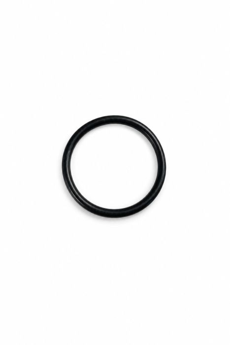 Originele o-ring (28X2,5)