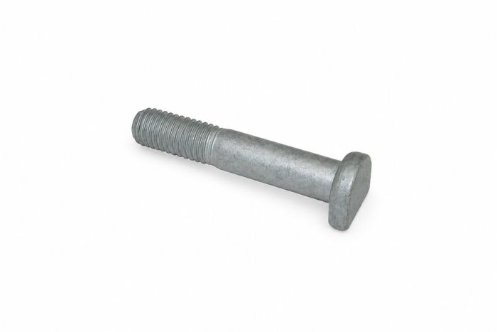 Originele borgbout (M10X50)