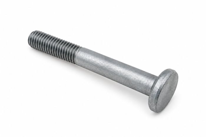 Originele borgbout (M10X55)