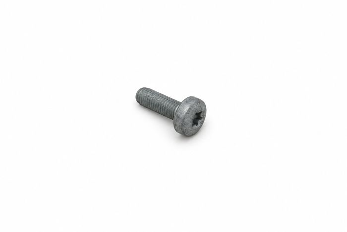 Originele inbus- bout (M10X30)