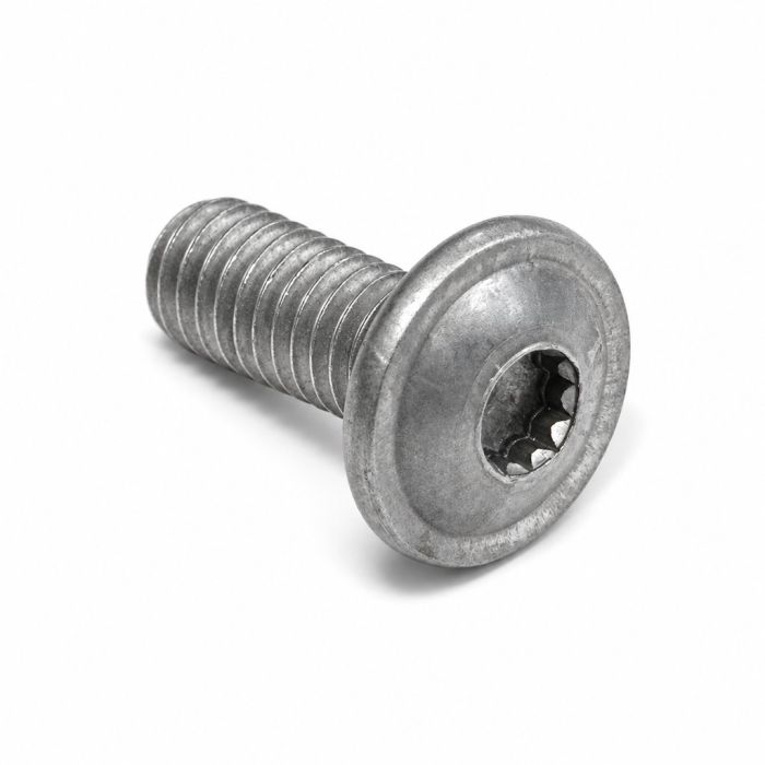 Originele halfronde bout (combi) met inbus (M6X16)
