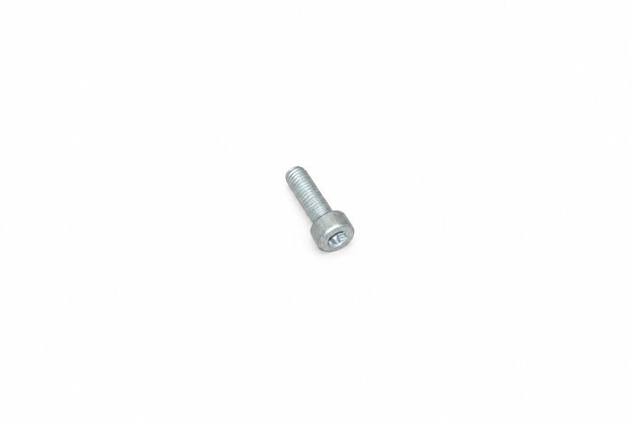 Originele inbus- bout (M5X16)