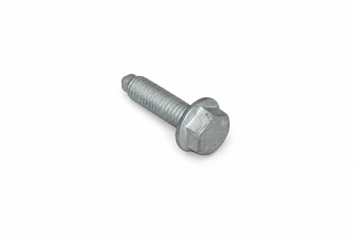 Originele zeskantbout (M8X30)
