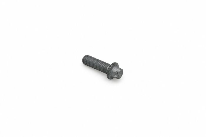 Originele zeskantbout (combi) (M8X25)