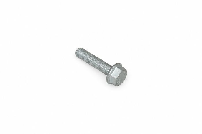 Originele zeskantbout (M8X35)
