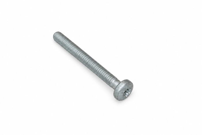Originele inbus- bout (M10X90)