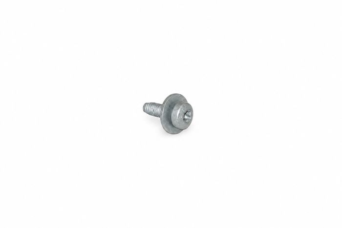 Originele inbusbout (M6X18-T30)