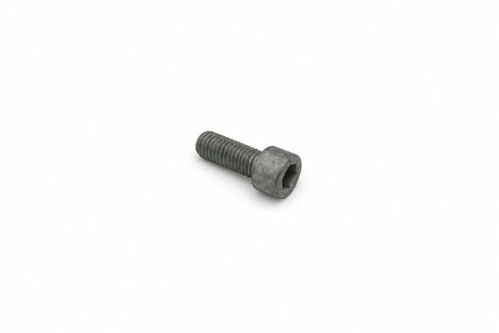 Originele zeskantbout (M10X25)