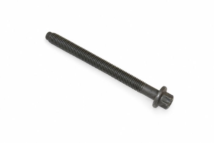 Originele zeskantbout (M10X111)