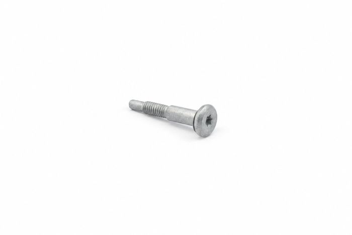 Originele inbuspasbout (M4X25)