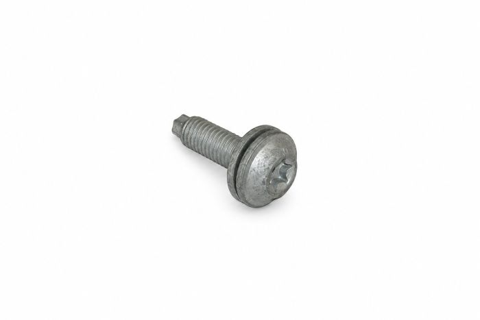 Originele zeskantbout (combi) (M8X28)